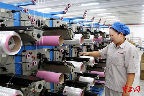 连云港外贸企业“双轮驱动” 抢订单与强技术并行，开拓出海新航道