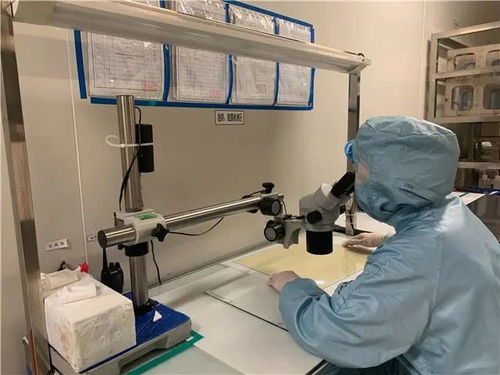 创新发展天地宽，技术驱动铸辉煌 看梁平这家企业如何走向全国