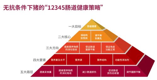 上海美农2021提升饲料产品竞争力技术研讨会山东站圆满落幕